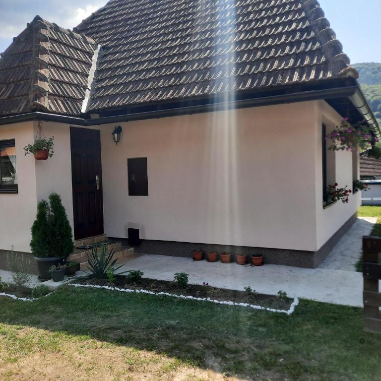 Drinski oganj kuca za odmor - Kuća sa 1 Spavaćom Sobom - 10