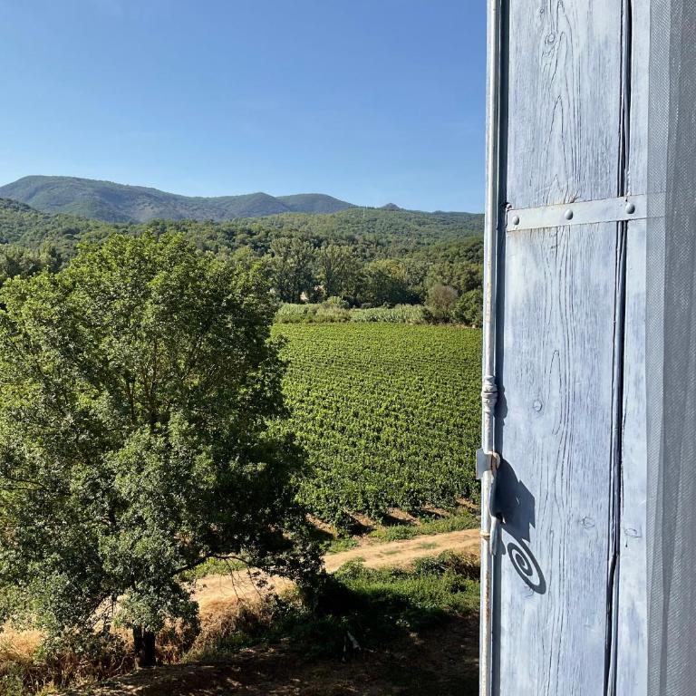Domaine de Coubillou - Maisonnette - 3