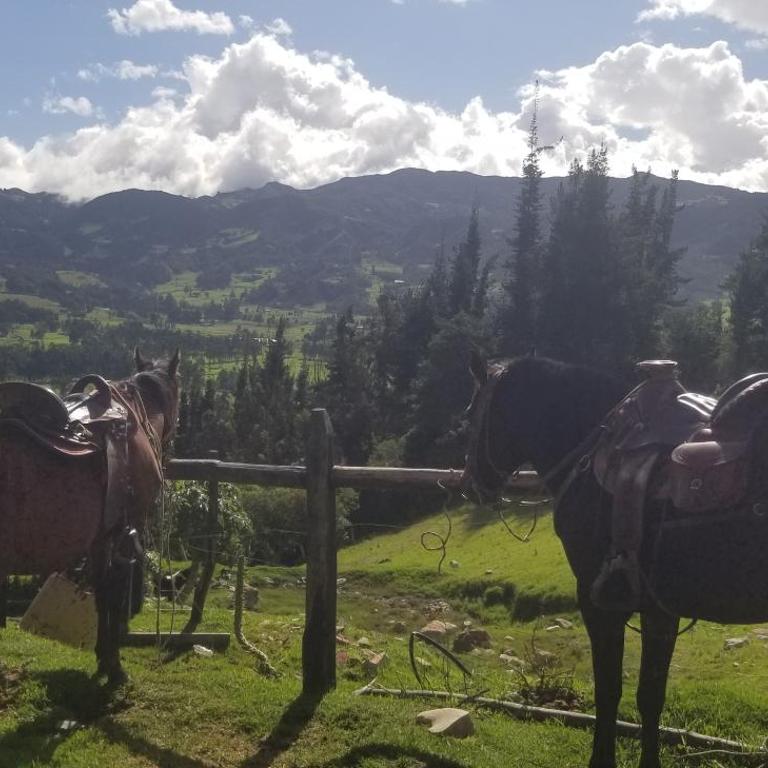 Peñavista. - Villa de 2 dormitorios - 49