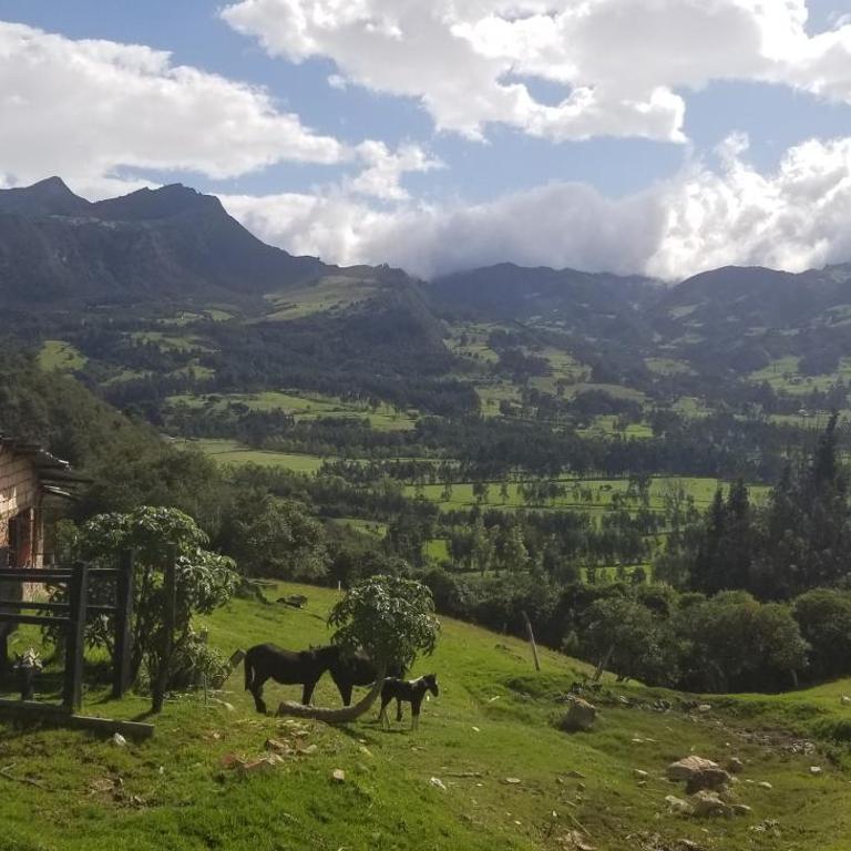 Peñavista. - Villa de 2 dormitorios - 51