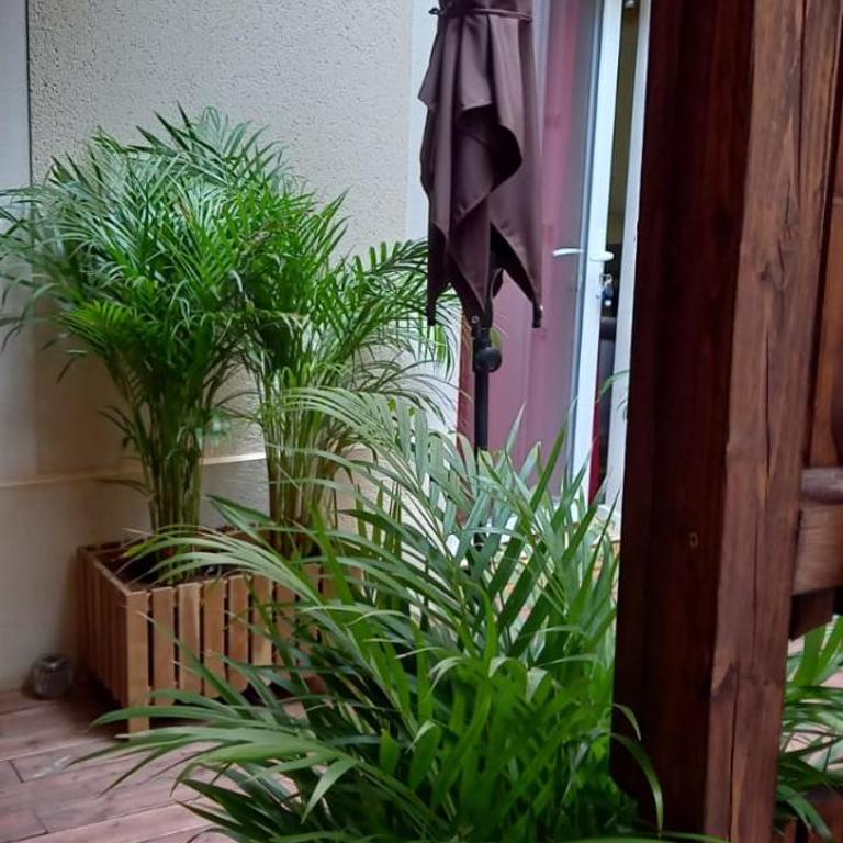 Priv8Spa New Love Room Jacuzzi Privée - Appartement 1 Chambre - 10