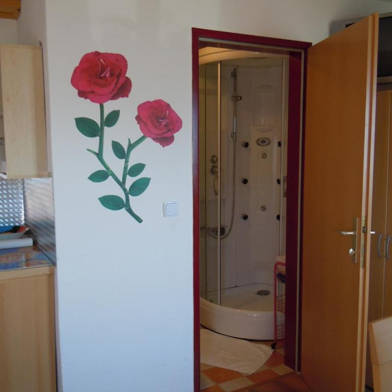 Areithof - Apartment mit 1 Schlafzimmer und Balkon - 70