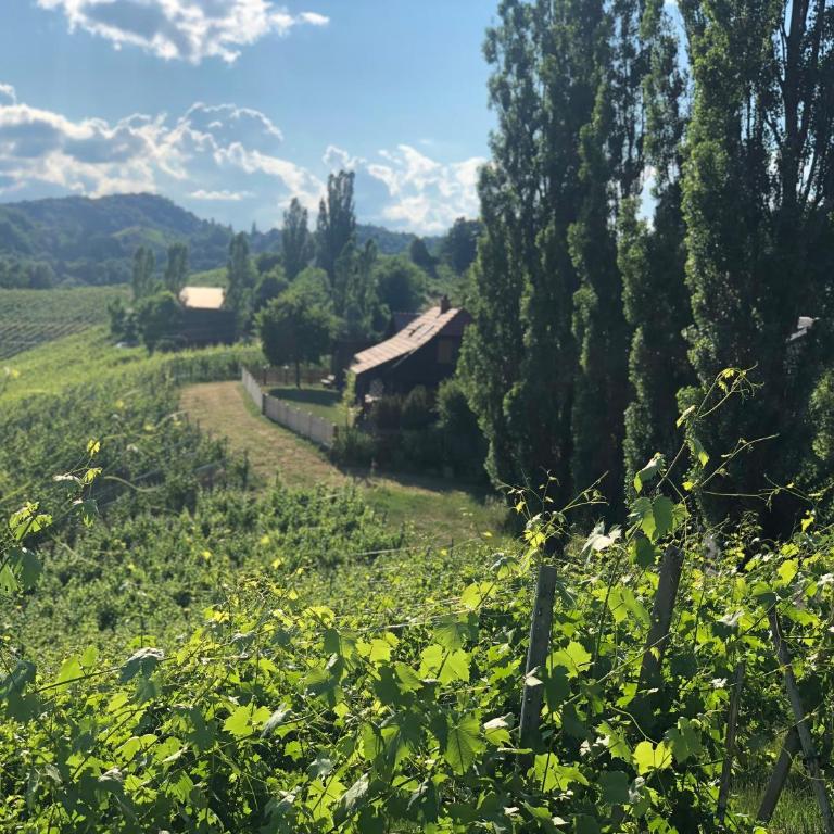 Kranach 5 - Wohnen beim Wein - Casa Vacanze - 9