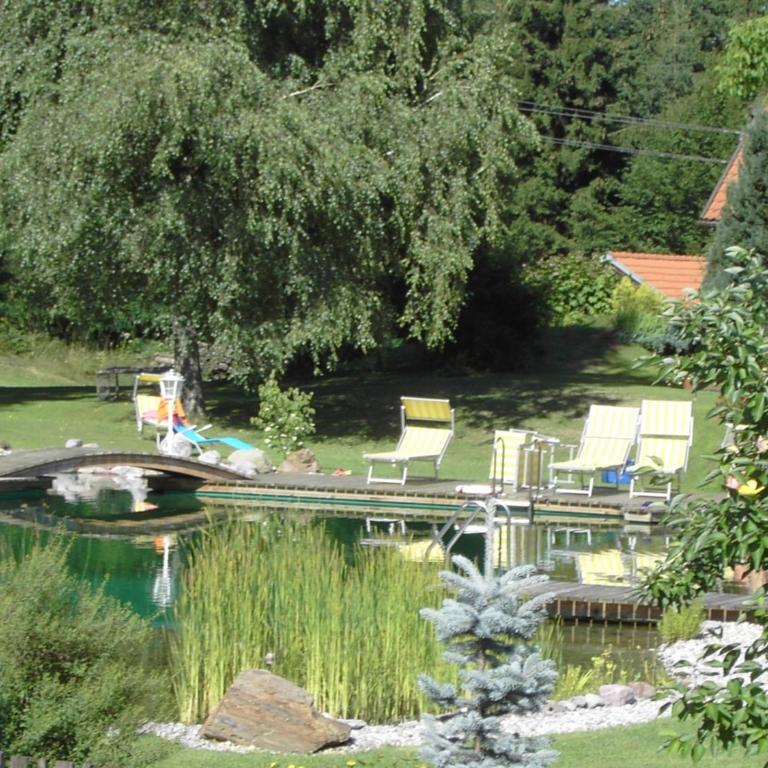 Ferienwohnungen Kremsbrucker - Studio-Apartment - 5