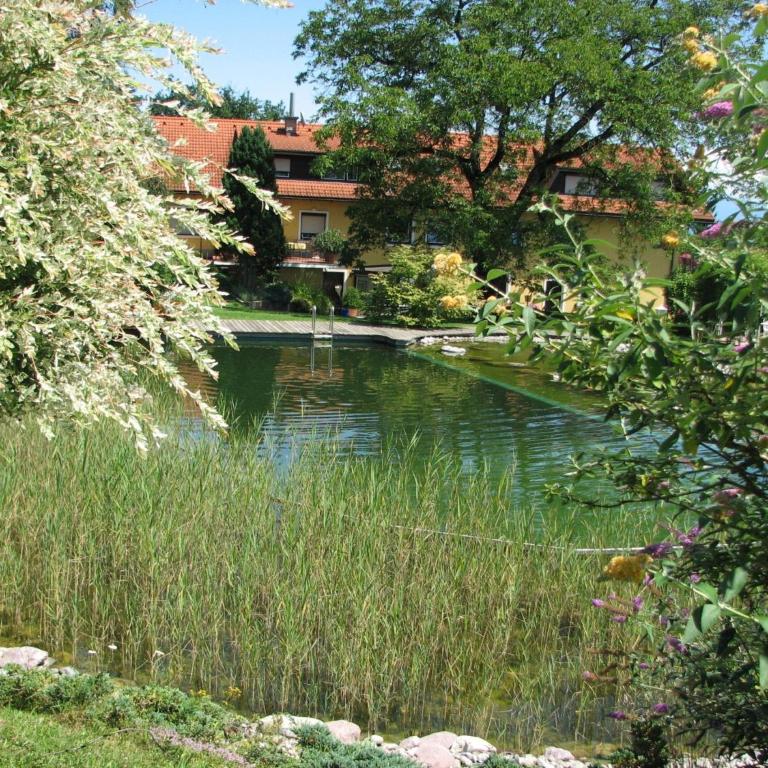Ferienwohnungen Kremsbrucker - Studio-Apartment - 9