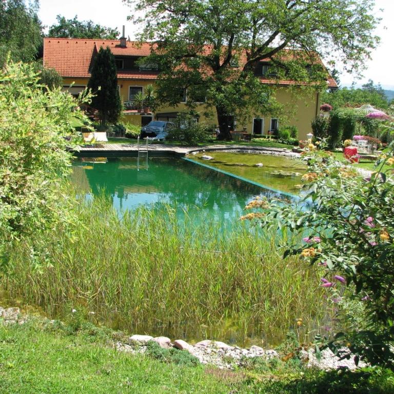 Ferienwohnungen Kremsbrucker - Studio-Apartment - 1