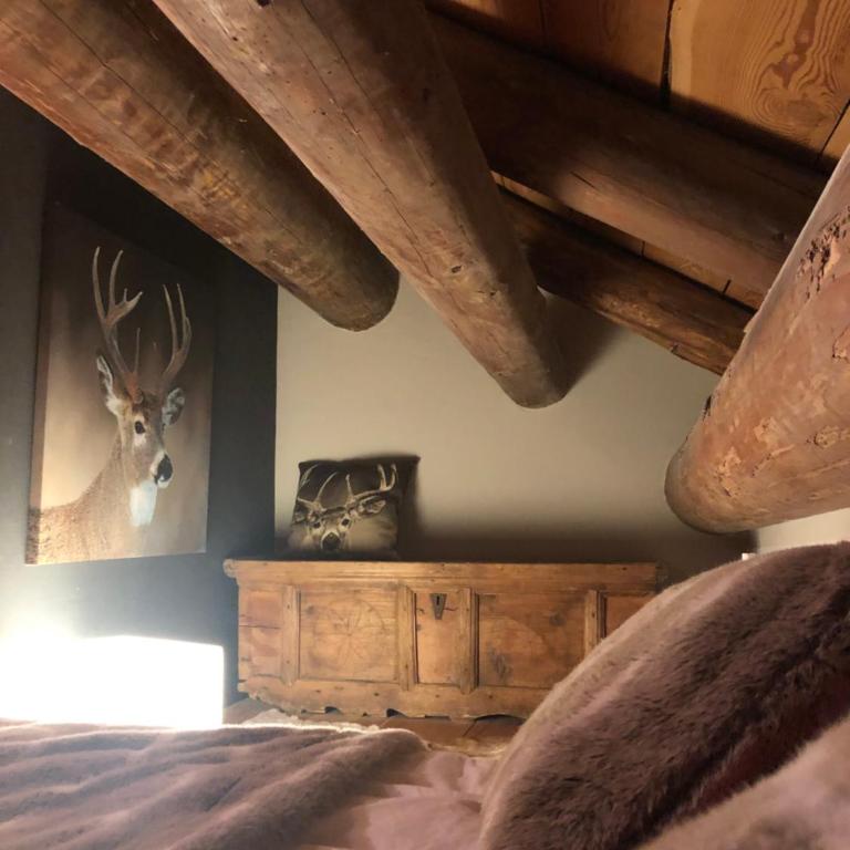 La Stalla - Chalet mit 2 Schlafzimmern - 21