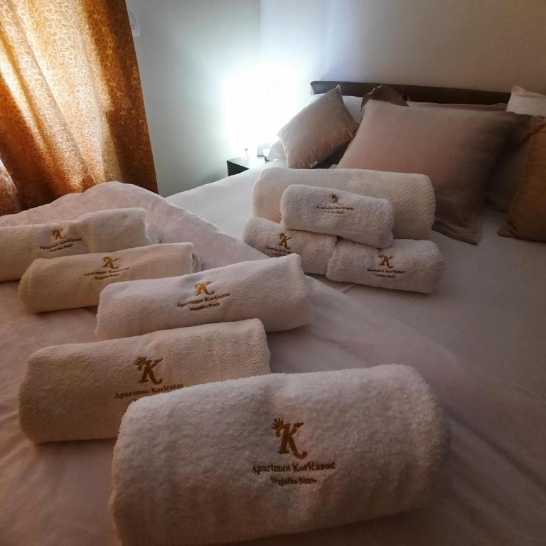 Apartman Korićanac Vrnjačka Banja - Apartman sa 1 Spavaćom Sobom - 37