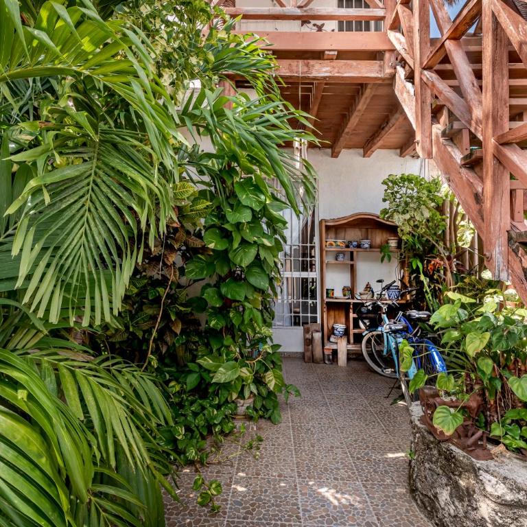 Casa Nona Rosa - Apartamento Estudio - 22