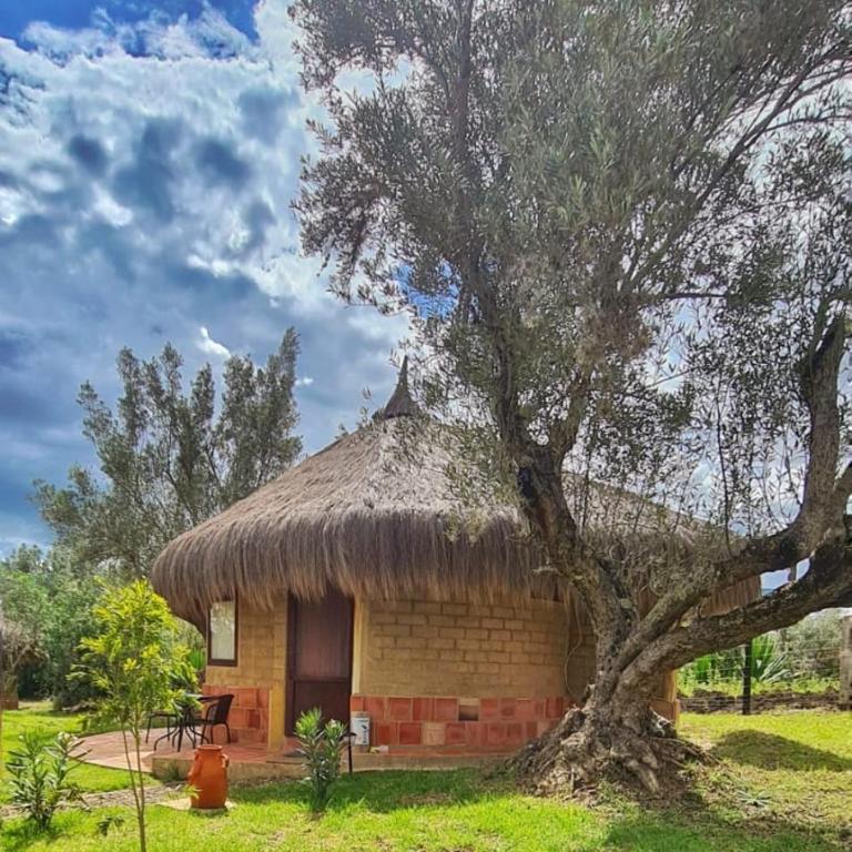 Chalets Sol Muisca RNT85322 - Chalet de 1 dormitorio - 14