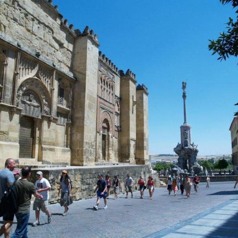 Modernos Apartamentos en Ciudad Jardín Córdoba - Apartamento Estudio - 19