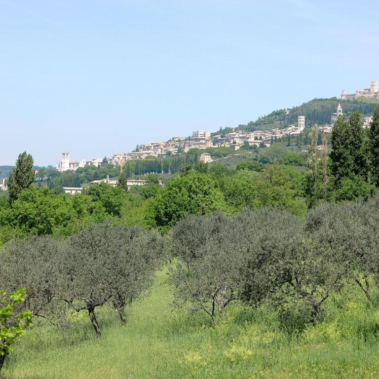 Country House Poggio Fiorito - Camera Matrimoniale Superior - 3