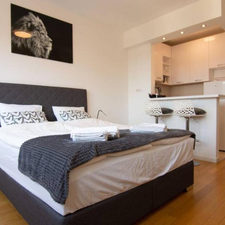 A Blok New Modern - Free garage parking, comfortable, quiet with a park view - Studio Apartman - 1