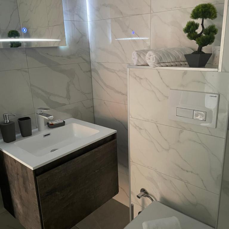 Ammirevole Ravne Apartments - Apartman sa Balkonom - 22