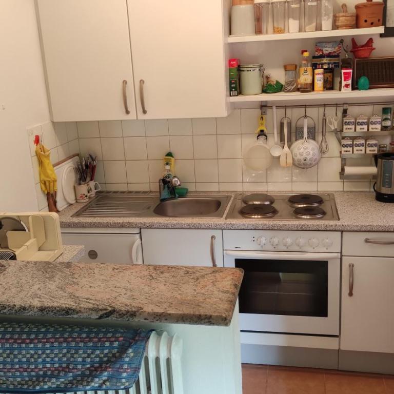 Alpenappartements Domicil include JOKER CARD - Apartamento de 1 dormitorio - 19