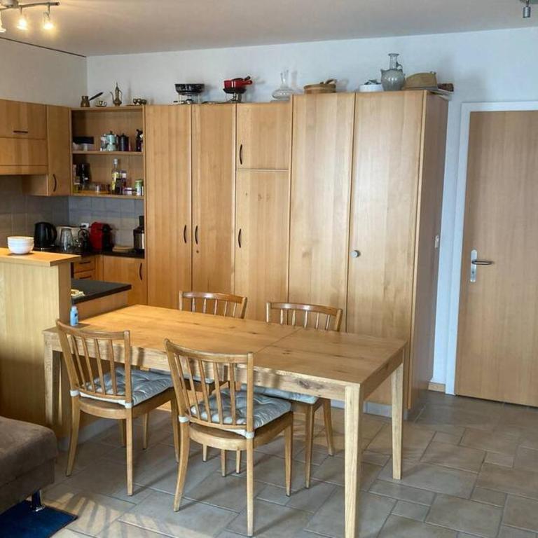 Bel appartement 2.5 pièces avec balcon, magnifique vue sur le glacier des Grands - Apartment mit 1 Schlafzimmer - 4