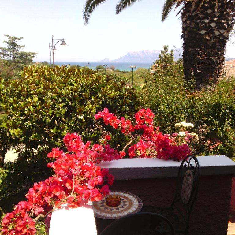 Hotel Abbaruja - Camera Matrimoniale con Balcone e Vista Mare - 1