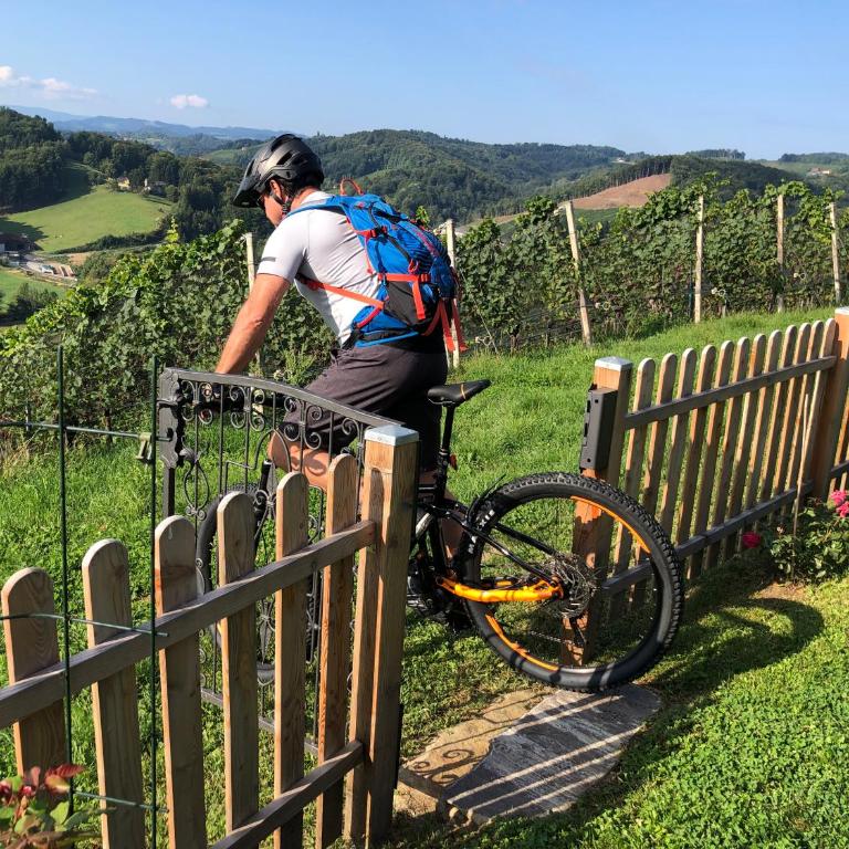 Kranach 5 - Wohnen beim Wein - Casa Vacanze - 1