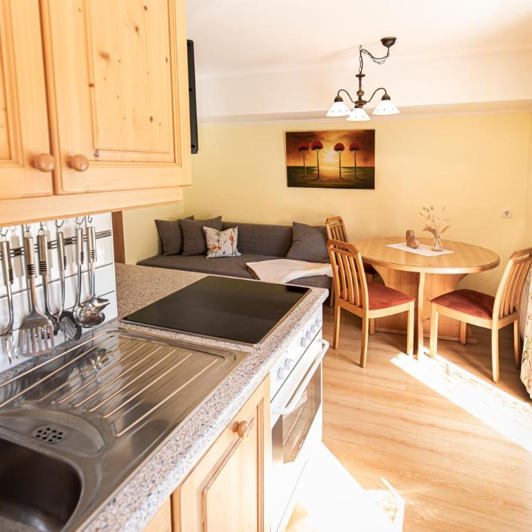 Haus Farmer - One-Bedroom Apartment with Balcony - 4