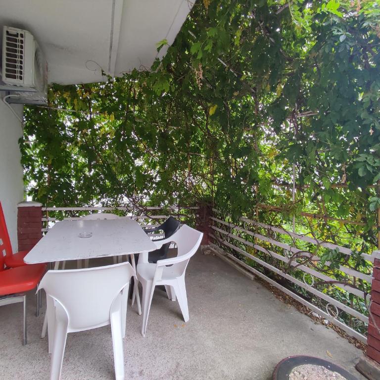 Vojinovic Apartments - Standardni Apartman - 7