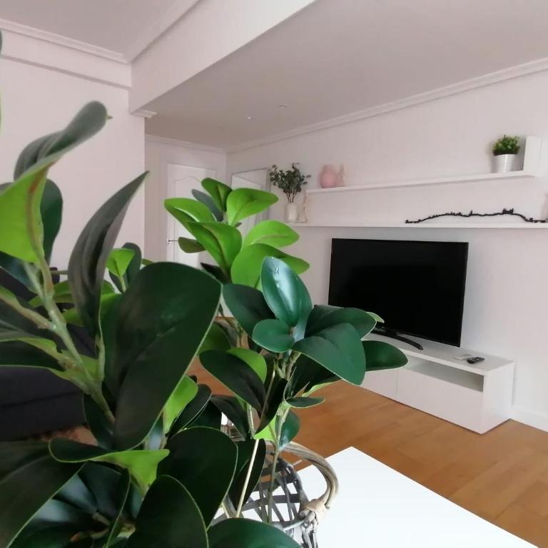 Apartamento Vicario Toledo - Apartamento de 1 dormitorio - 11