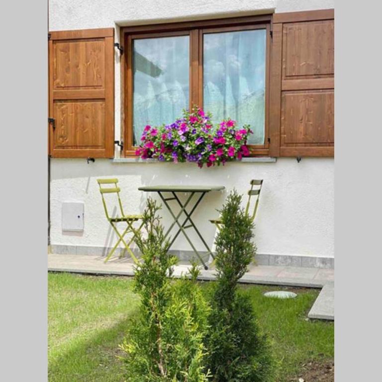 La petite maison d'Erika - Monolocale con Vista Montagna - 18