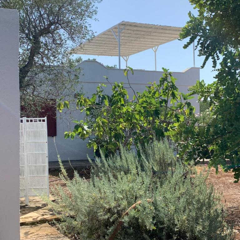 Trullo Tojo - Two-Bedroom House - 34