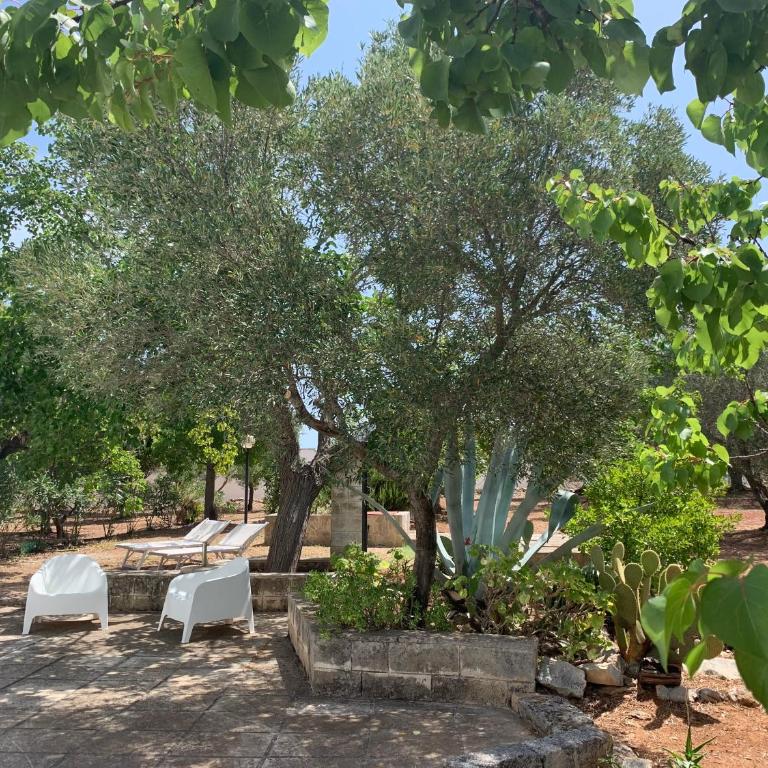 Trullo Tojo - Two-Bedroom House - 41