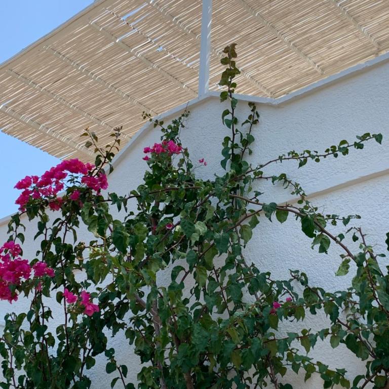 Trullo Tojo - Two-Bedroom House - 42