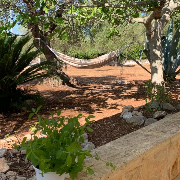 Trullo Tojo - Two-Bedroom House - 29