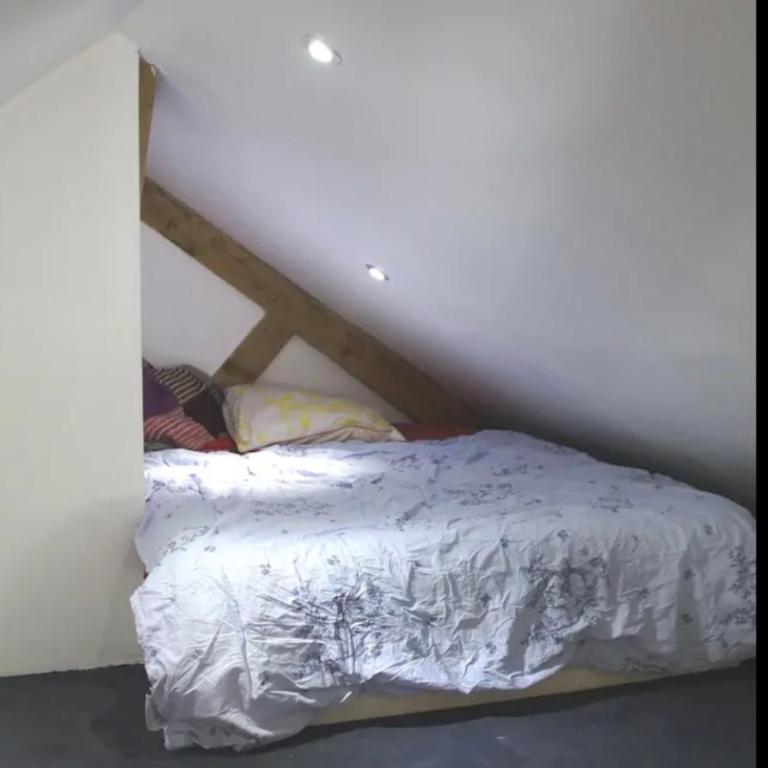 gérardmer plein centre idéal famille - Appartement - 17
