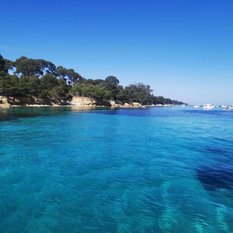 Un havre de paix au cœur de Mougins - Apartment mit 1 Schlafzimmer - 15