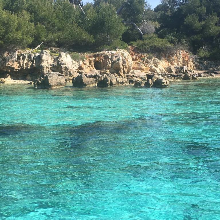 Un havre de paix au cœur de Mougins - Apartment mit 1 Schlafzimmer - 16