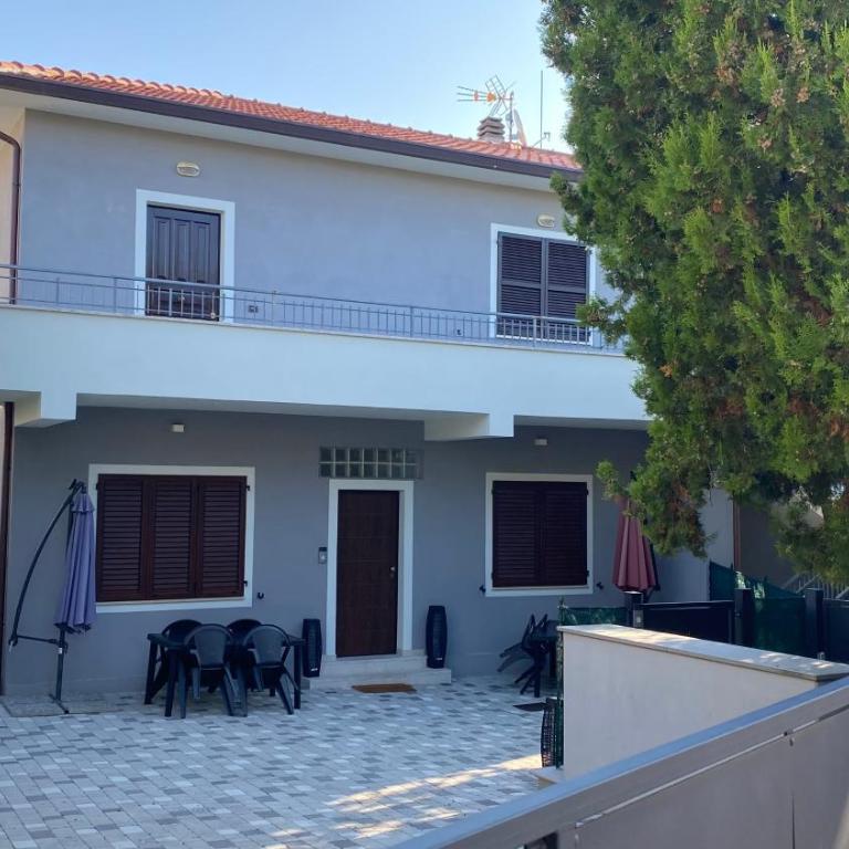 Cingohouse - One-Bedroom Apartment - 1