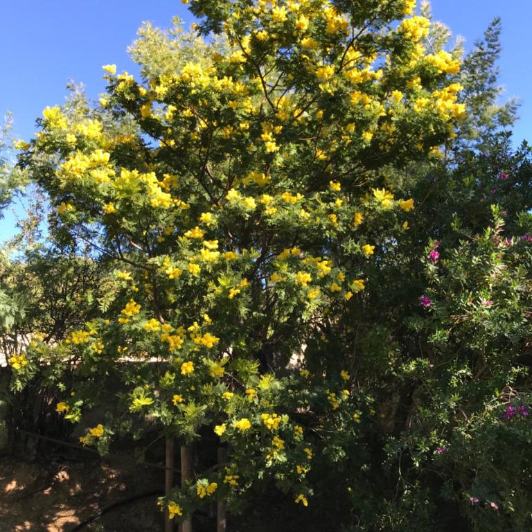 Meublé La Sergerie - Apartamento - Planta baja - 26