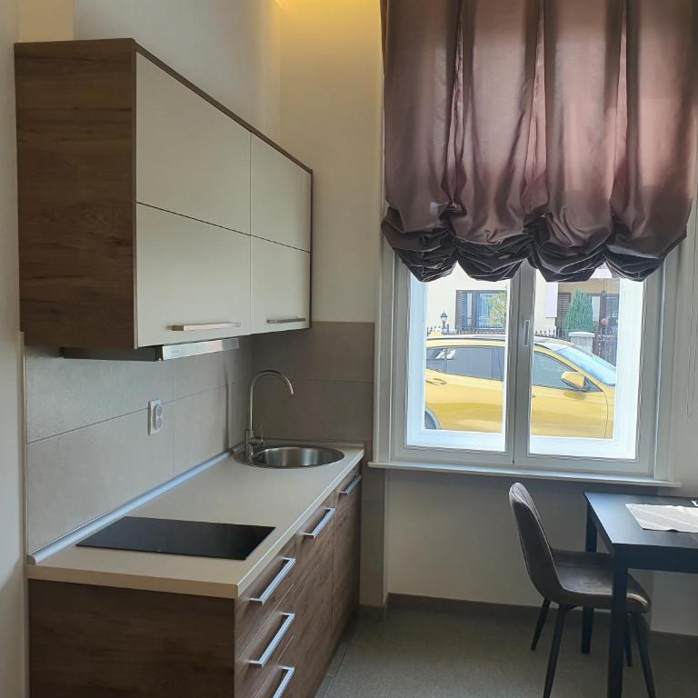 Vila Samokres sa bazenom - Studio sa Bračnim Krevetom (King-size) - 6