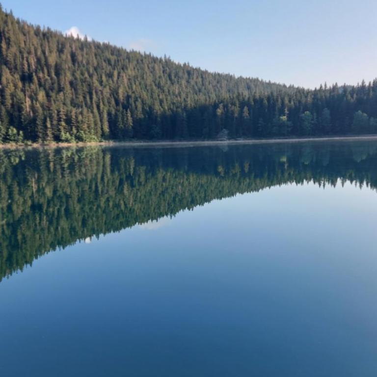 Guest House Milena - Apartment with Terrace - 15