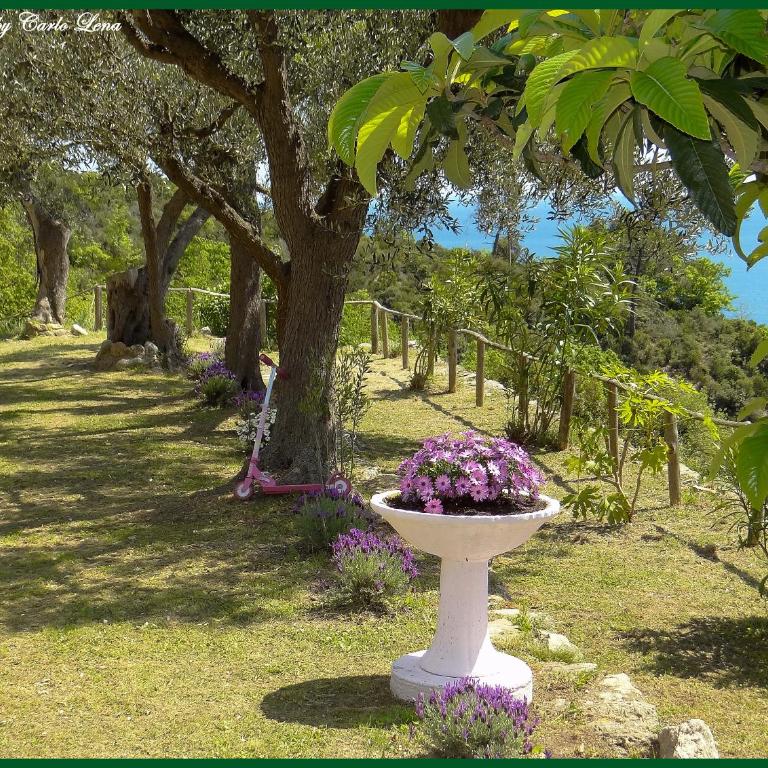 Villa Pierina - Appartamento - Piano Terra - 2