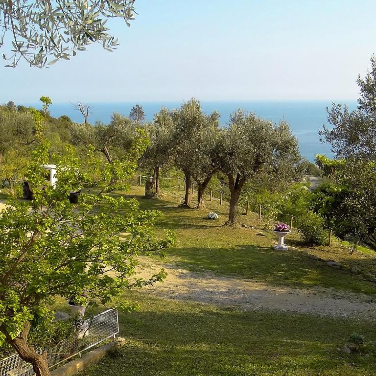 Villa Pierina - Appartamento - Piano Terra - 3