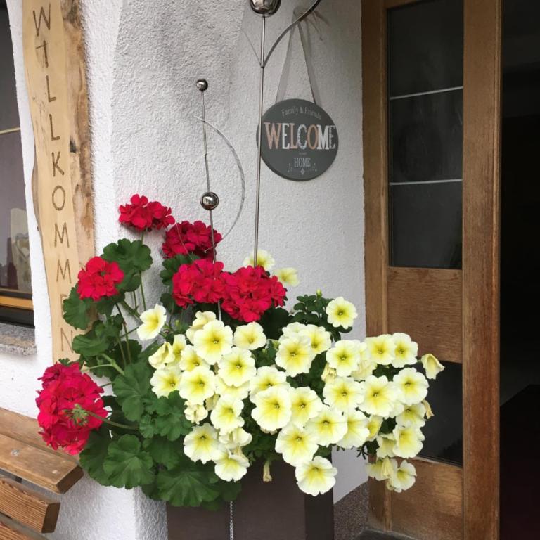 Haus Wildebene - Studio - 2