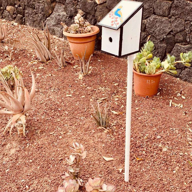 Artsy Casa Timanfaya, Playa Blanca - Apartamento de 1 dormitorio - 44