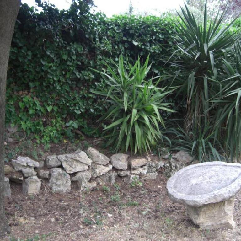 Studio indépendant dans mas provencal - Studio avec Vue sur Jardin - 10