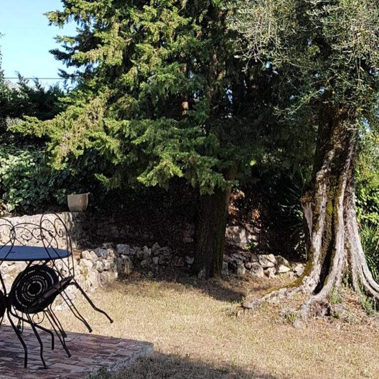 Studio indépendant dans mas provencal - Studio avec Vue sur Jardin - 11
