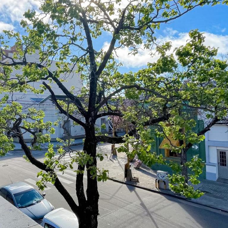 Dpto exclusivo - Comodidad y estilo superior - One-Bedroom Apartment - 24