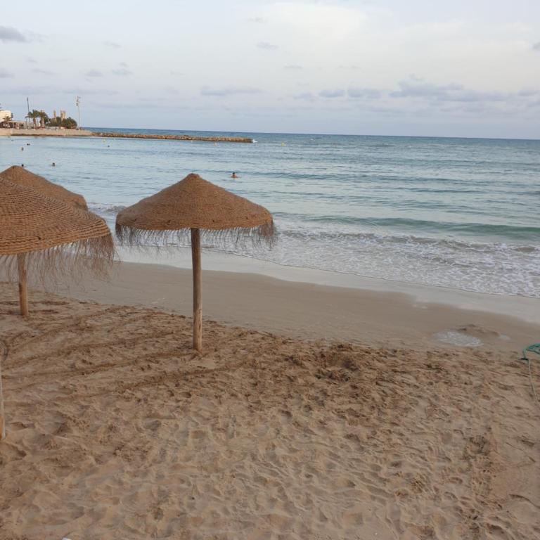 Studio mit Pool,450 m zur Strand - Apartamento de 1 dormitorio - 18
