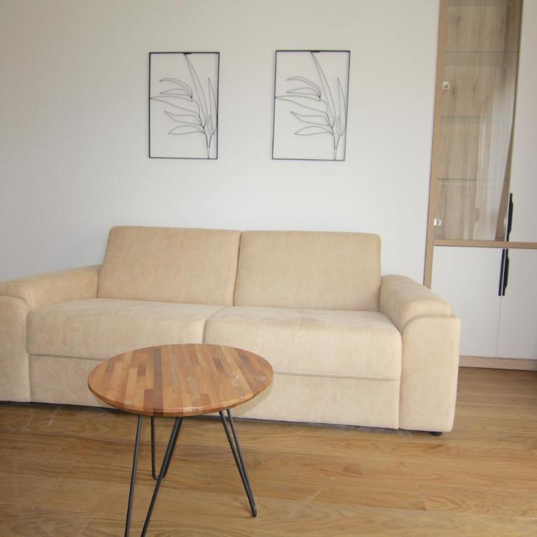 Apartments LORA Zmajeva, 7 - One-Bedroom Apartment - 26