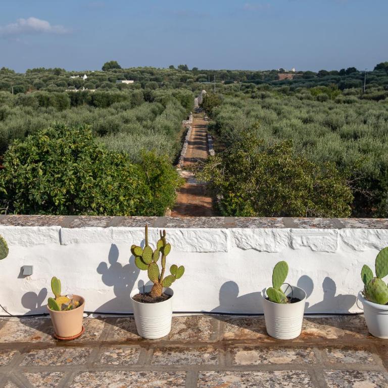 Casa Amahoro - Villa with Private Pool - 10