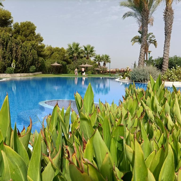 Villa Teresitas, Casa Grande en Gran Alacant - Three-Bedroom Apartment - 25