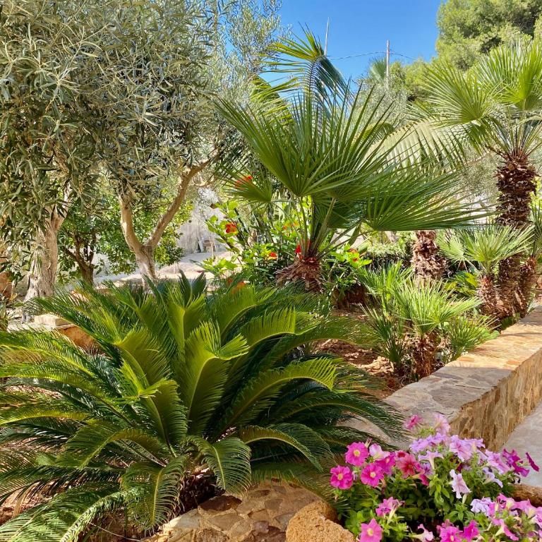 ACasammare Apartment - Casa con 2 Camere da Letto - 25