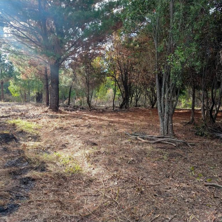 El Descanso - Chalet de 1 dormitorio - 7